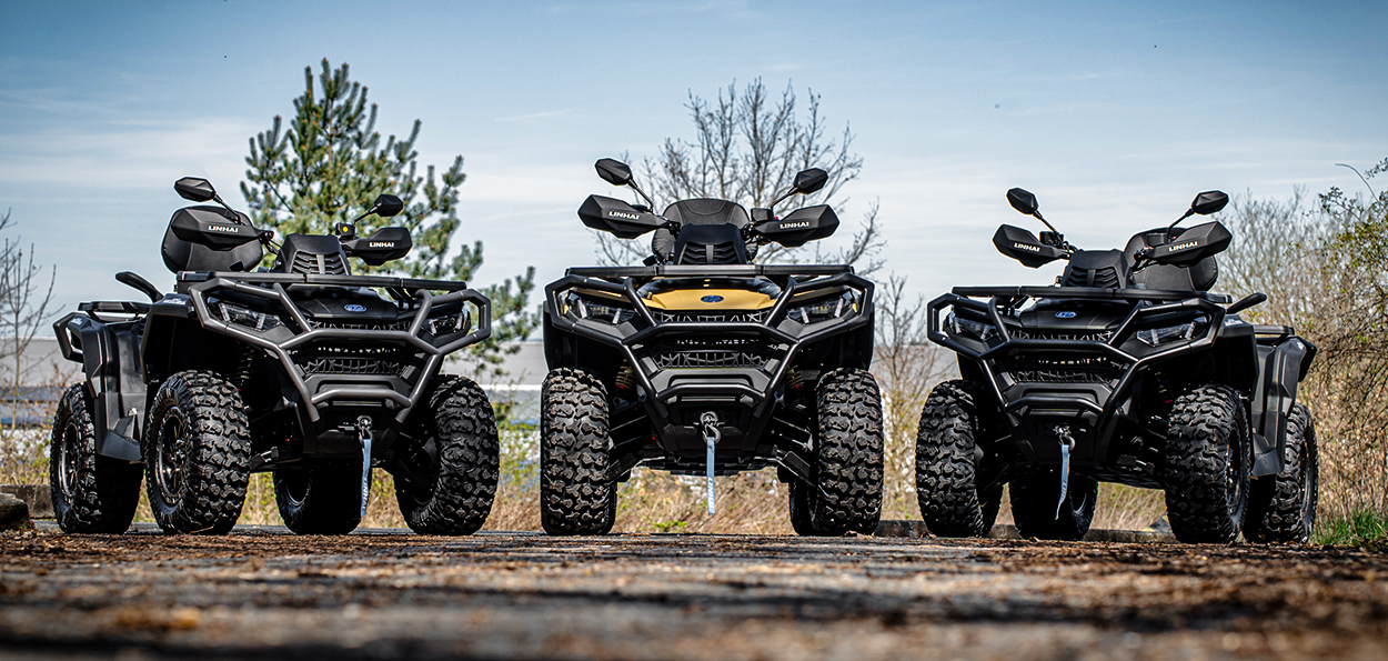 Dominointia jokaisessa yksityiskohdassa